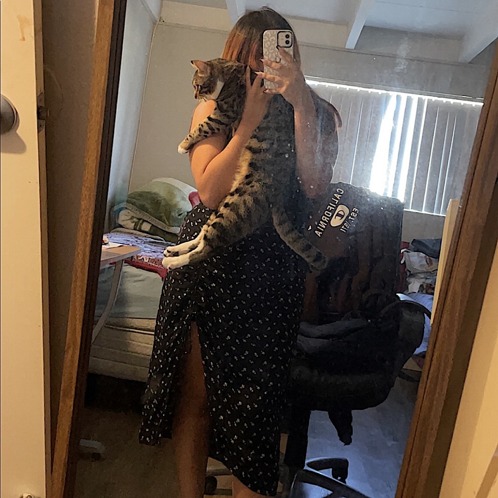 Meet your Posher, Lily